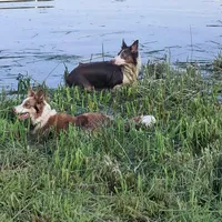 processed/60cdfa81-49aa-42cb-b183-747af21cc140/facility/f48b4e39-4851-4597-9b9e-caedea9f47c0