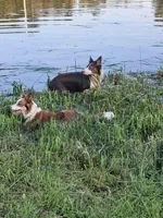 processed/60cdfa81-49aa-42cb-b183-747af21cc140/facility/f48b4e39-4851-4597-9b9e-caedea9f47c0