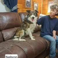 processed/60cdfa81-49aa-42cb-b183-747af21cc140/facility/fb5b9bb1-8af6-43c1-88d1-066933ea02ec