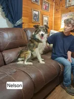 processed/60cdfa81-49aa-42cb-b183-747af21cc140/facility/fb5b9bb1-8af6-43c1-88d1-066933ea02ec