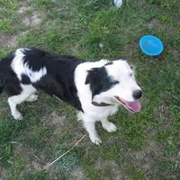 processed/60cdfa81-49aa-42cb-b183-747af21cc140/facility/fed89c26-d58f-4594-9de5-1f0e4a6a2130