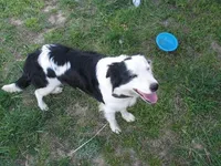 processed/60cdfa81-49aa-42cb-b183-747af21cc140/facility/fed89c26-d58f-4594-9de5-1f0e4a6a2130