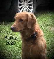 processed/60ebbccb-33df-4f17-95b5-29e8f0a9c302/facility/16004f66-8c84-4c4c-af8b-5f7181e4eaa5