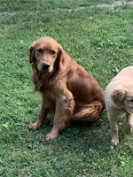 processed/60ebbccb-33df-4f17-95b5-29e8f0a9c302/facility/4d52e4d0-7d38-48cb-a937-73e98f3f73dd