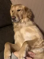 processed/60ebbccb-33df-4f17-95b5-29e8f0a9c302/facility/d669a64b-db60-4921-9c99-3794f7a03e57