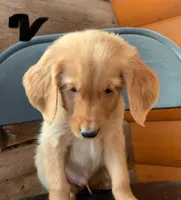 processed/60ebbccb-33df-4f17-95b5-29e8f0a9c302/listing/1ab32543-952f-4994-a070-bd482143ab18/407ee5cd-2fca-42dd-9f33-0282aeb66c8e