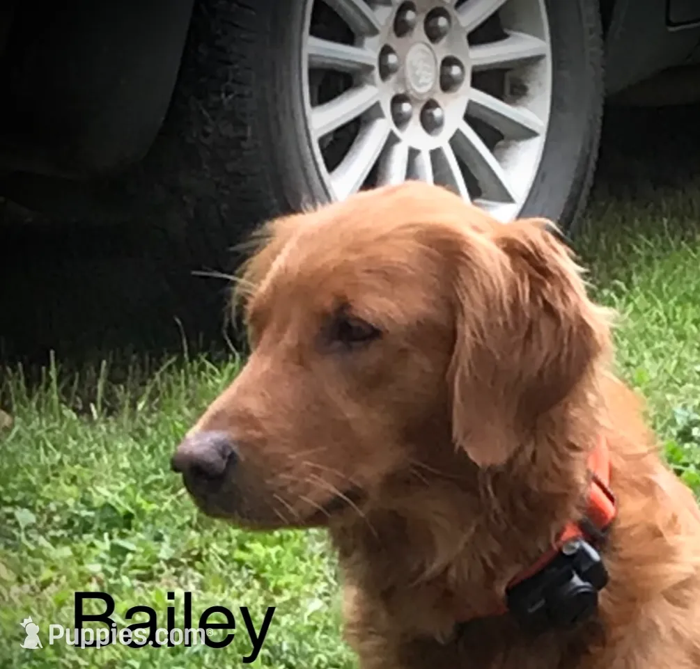 processed/60ebbccb-33df-4f17-95b5-29e8f0a9c302/listing/1ab32543-952f-4994-a070-bd482143ab18/5ce20b77-e10a-4dd1-b989-45c516ee327b