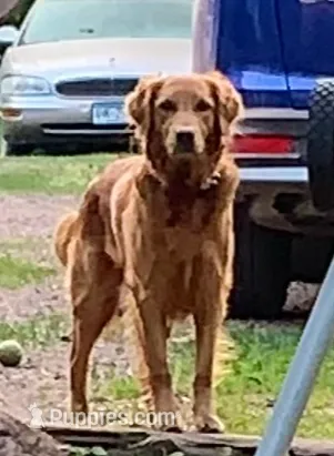 processed/60ebbccb-33df-4f17-95b5-29e8f0a9c302/listing/1ab32543-952f-4994-a070-bd482143ab18/8cbdfe66-6d13-468f-8a8b-5b0ee0be1686