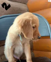 processed/60ebbccb-33df-4f17-95b5-29e8f0a9c302/listing/1ab32543-952f-4994-a070-bd482143ab18/c6437f61-e963-44b0-a54c-9fb08929a891