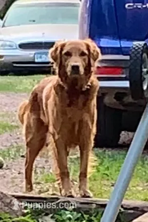 processed/60ebbccb-33df-4f17-95b5-29e8f0a9c302/listing/51287351-e369-401b-91dc-825104837937/41138622-7b5c-4e83-b624-0305bc431483