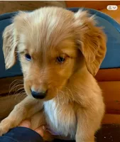 processed/60ebbccb-33df-4f17-95b5-29e8f0a9c302/listing/51287351-e369-401b-91dc-825104837937/badeba6c-241b-4102-89e5-3688faa419e5