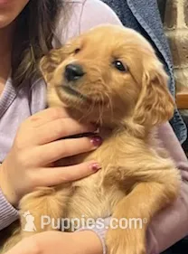 processed/60ebbccb-33df-4f17-95b5-29e8f0a9c302/listing/51287351-e369-401b-91dc-825104837937/f6191a3b-9113-4d71-9706-f27118d271f0