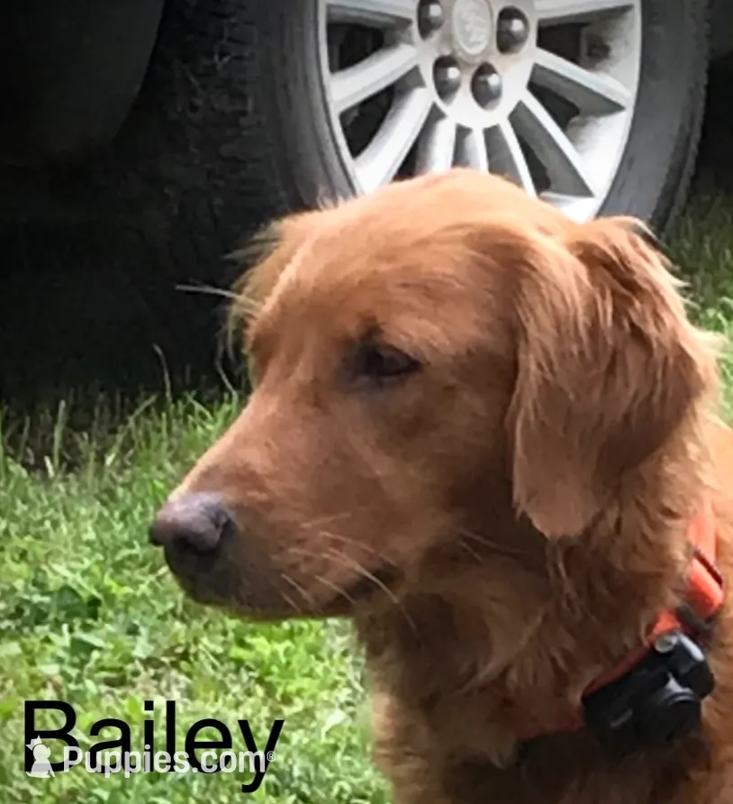 processed/60ebbccb-33df-4f17-95b5-29e8f0a9c302/listing/df2fed34-6a02-4915-bceb-98fc781f1042/436a3087-ccb3-4445-ae8d-f1147d4e374a