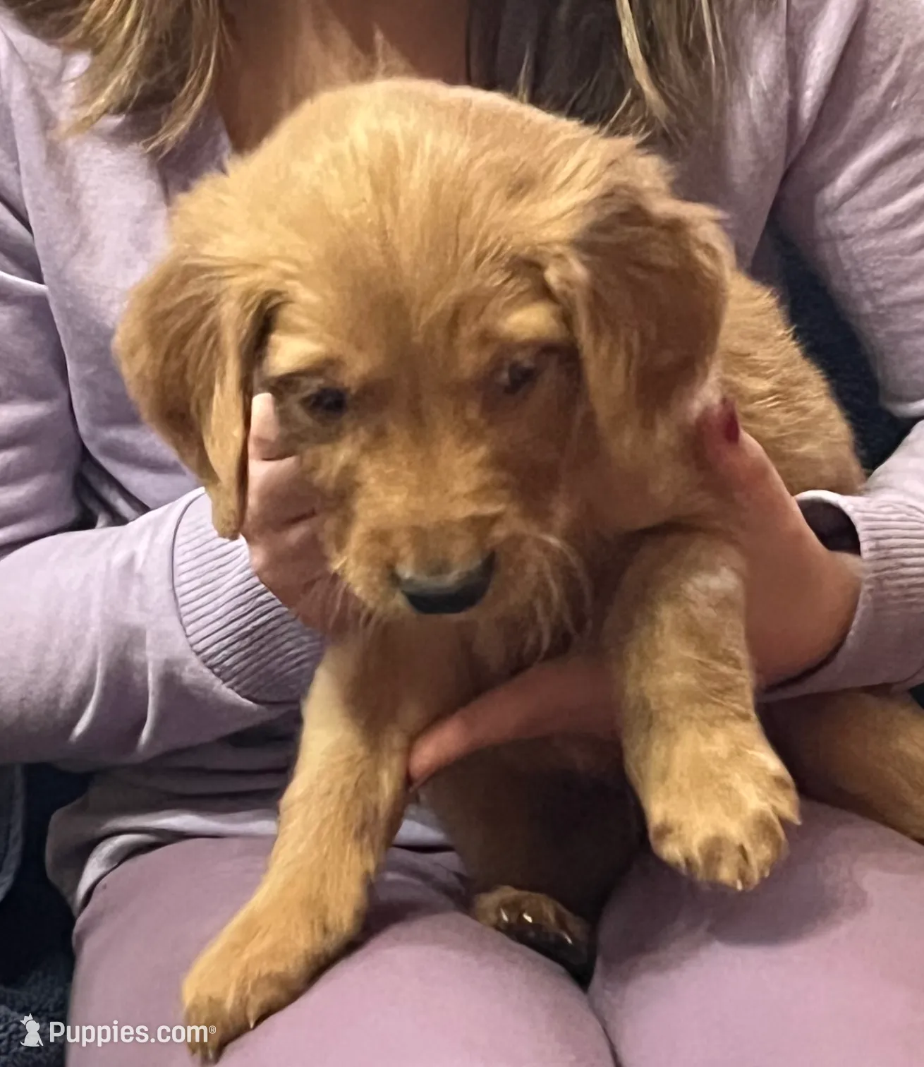 processed/60ebbccb-33df-4f17-95b5-29e8f0a9c302/listing/df2fed34-6a02-4915-bceb-98fc781f1042/72ce9357-0394-4434-9a5f-cb4080e0c7e1