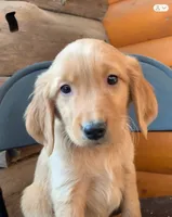 processed/60ebbccb-33df-4f17-95b5-29e8f0a9c302/listing/df2fed34-6a02-4915-bceb-98fc781f1042/c578d9c0-59fe-4e8c-bcfd-53821602c545