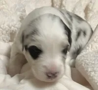 processed/60ee84b7-bbc5-471b-a57b-9dfbbee36206/listing/22413381-ebf1-4990-b25a-84a2e900dd0e/25a32d6e-f2a0-46f4-8424-76c123258088