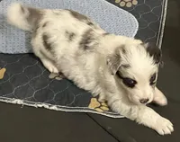 processed/60ee84b7-bbc5-471b-a57b-9dfbbee36206/listing/22413381-ebf1-4990-b25a-84a2e900dd0e/6808b471-6db8-48cd-9f72-bee32adbe239