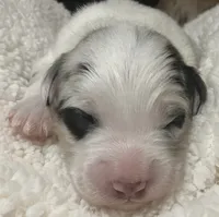 processed/60ee84b7-bbc5-471b-a57b-9dfbbee36206/listing/22413381-ebf1-4990-b25a-84a2e900dd0e/71a66425-70ea-4f6e-90b0-5ee1320d4903