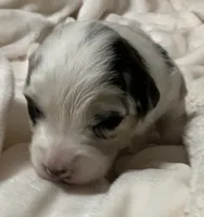 processed/60ee84b7-bbc5-471b-a57b-9dfbbee36206/listing/22413381-ebf1-4990-b25a-84a2e900dd0e/7f360225-93bd-4094-b2fe-8993114b3db1