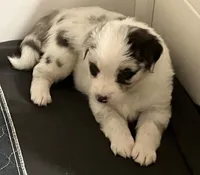 processed/60ee84b7-bbc5-471b-a57b-9dfbbee36206/listing/22413381-ebf1-4990-b25a-84a2e900dd0e/87dad7a4-d27b-462b-8076-ba99d5d417fc