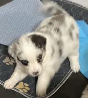 processed/60ee84b7-bbc5-471b-a57b-9dfbbee36206/listing/22413381-ebf1-4990-b25a-84a2e900dd0e/f4ffce15-a64c-465d-9c46-f8e31f091f6a