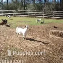 processed/60f1a858-7ae3-4d3d-ac5e-e171bb6771f0/facility/666805a5-41fe-4d10-9674-113463ab3032