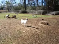 processed/60f1a858-7ae3-4d3d-ac5e-e171bb6771f0/facility/666805a5-41fe-4d10-9674-113463ab3032