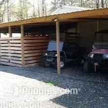 processed/60f1a858-7ae3-4d3d-ac5e-e171bb6771f0/facility/c99fe003-5e81-4401-bdfb-01760b5a86b7