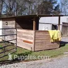 processed/60f1a858-7ae3-4d3d-ac5e-e171bb6771f0/facility/f35325e1-992f-4f91-a36f-eb2b0f20fb49