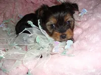 processed/60f1a858-7ae3-4d3d-ac5e-e171bb6771f0/listing/66ead76b-6557-40fc-be0c-2809d096176d/7afd1387-d809-48c5-8e94-c7ad8595651d