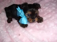 processed/60f1a858-7ae3-4d3d-ac5e-e171bb6771f0/listing/66ead76b-6557-40fc-be0c-2809d096176d/c21c40ba-b6ce-4c68-acb5-d5d7550a154d