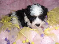 processed/60f1a858-7ae3-4d3d-ac5e-e171bb6771f0/listing/9da4818d-9c56-4200-bcde-0732b63ce604/b1d5cd2a-88b4-43e9-a245-c62dff419926