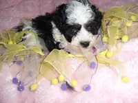 processed/60f1a858-7ae3-4d3d-ac5e-e171bb6771f0/listing/9da4818d-9c56-4200-bcde-0732b63ce604/ffc7498f-268d-4ef0-81d9-a36d26e480d9