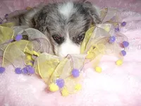 processed/60f1a858-7ae3-4d3d-ac5e-e171bb6771f0/listing/ae8aaa17-48e4-4f91-9459-6485763a9546/322552c8-9c05-43ff-97fc-ee76a12f9945