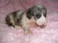 processed/60f1a858-7ae3-4d3d-ac5e-e171bb6771f0/listing/ae8aaa17-48e4-4f91-9459-6485763a9546/6eead90d-988a-4819-a7b4-33f56d75543b