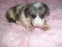 processed/60f1a858-7ae3-4d3d-ac5e-e171bb6771f0/listing/ae8aaa17-48e4-4f91-9459-6485763a9546/c4a27cf7-76df-410e-adde-50c910ba2d5f