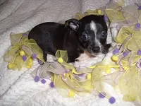 processed/60f1a858-7ae3-4d3d-ac5e-e171bb6771f0/listing/b46b0d1c-7024-40e7-8bf8-76e616085d2c/b580d15d-cb0e-4693-a79c-dabd847c18f9