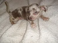 processed/60f1a858-7ae3-4d3d-ac5e-e171bb6771f0/listing/b6b6cb75-1eeb-4ceb-a027-8cfe3048a212/0c01293a-3396-486e-a494-9175b55f0464