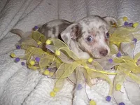 processed/60f1a858-7ae3-4d3d-ac5e-e171bb6771f0/listing/b6b6cb75-1eeb-4ceb-a027-8cfe3048a212/0e149709-a33a-4160-97d4-4a8895b01aeb