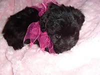 processed/60f1a858-7ae3-4d3d-ac5e-e171bb6771f0/listing/bcd5252e-81fa-4931-baab-f4c7e96b7a95/3f12f36f-1815-402d-89de-cfc7bb9d2468