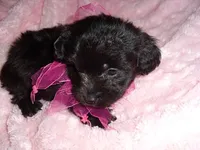 processed/60f1a858-7ae3-4d3d-ac5e-e171bb6771f0/listing/bcd5252e-81fa-4931-baab-f4c7e96b7a95/8386647d-4b83-4bb1-8ce9-3693c059b4df