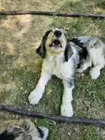 processed/60fcd48c-4660-49c0-a062-d3b145d27748/facility/034cb350-337e-4bd4-8633-b7c8311eb854