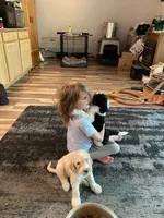 processed/60fcd48c-4660-49c0-a062-d3b145d27748/facility/097f365f-47eb-493f-8468-4b96e15965e0