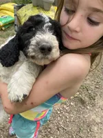 processed/60fcd48c-4660-49c0-a062-d3b145d27748/facility/2f3ff32c-a6c5-468c-af78-b4c8c239ff65