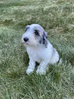 processed/60fcd48c-4660-49c0-a062-d3b145d27748/facility/428d63b3-45a8-41b7-8397-d8dc7a22c7ee