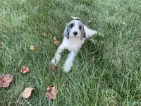 processed/60fcd48c-4660-49c0-a062-d3b145d27748/facility/84ce7542-8785-49f5-af54-431f90c647c0