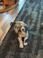 processed/60fcd48c-4660-49c0-a062-d3b145d27748/facility/8a67e89c-f265-4618-af6e-f779ebaf2315