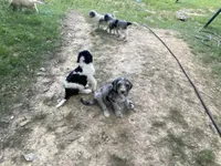 processed/60fcd48c-4660-49c0-a062-d3b145d27748/facility/aab3a695-8bc7-4dd1-86c7-ca787a519b84