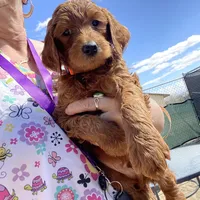 processed/610d0374-4b69-4bc2-ae62-bc594314ff88/facility/12f8b895-8b1b-4d3e-aeaf-f4907732af23