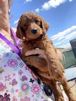 processed/610d0374-4b69-4bc2-ae62-bc594314ff88/facility/12f8b895-8b1b-4d3e-aeaf-f4907732af23